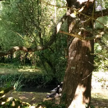 Lejlighed De La Roseraie