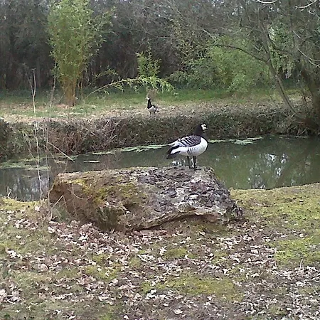 De La Roseraie Lejlighed