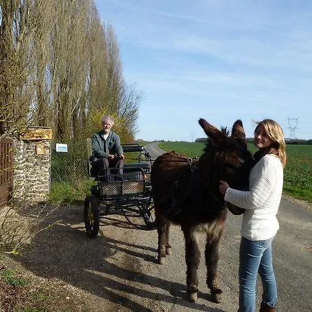 De La Roseraie Lejlighed Cernay-la-Ville